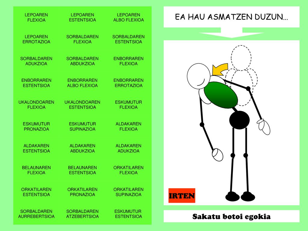 EA HAU ASMATZEN DUZUN… IRTEN Sakatu botoi egokia LEPOAREN FLEXIOA