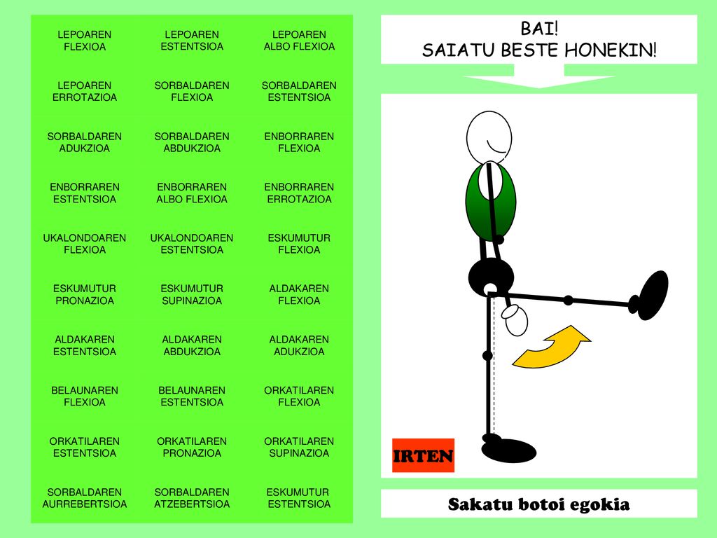 BAI! SAIATU BESTE HONEKIN! IRTEN Sakatu botoi egokia LEPOAREN FLEXIOA