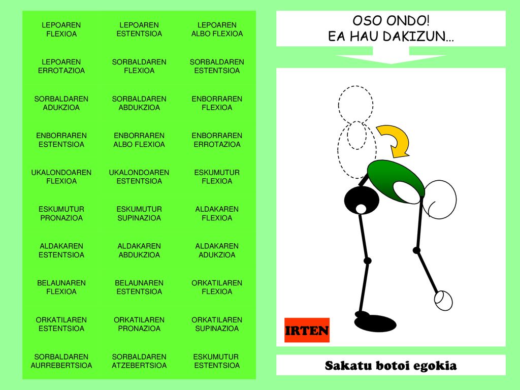 OSO ONDO! EA HAU DAKIZUN… IRTEN Sakatu botoi egokia LEPOAREN FLEXIOA