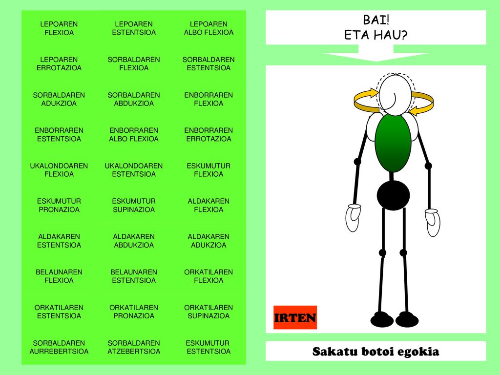 BAI! ETA HAU IRTEN Sakatu botoi egokia LEPOAREN FLEXIOA LEPOAREN