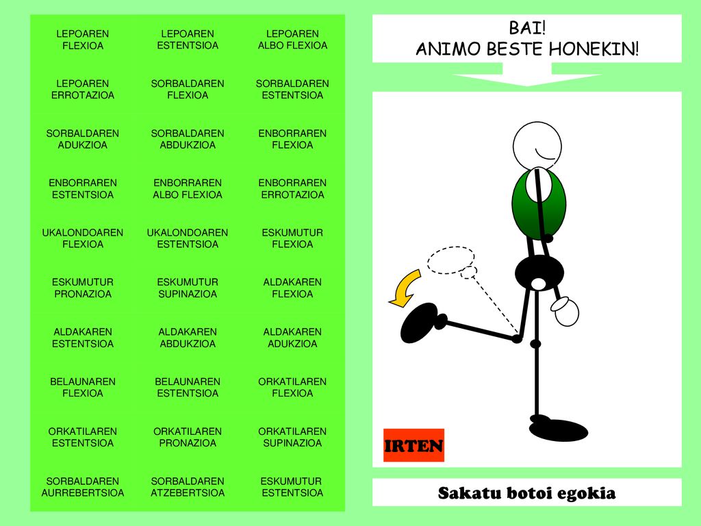 BAI! ANIMO BESTE HONEKIN! IRTEN Sakatu botoi egokia LEPOAREN FLEXIOA