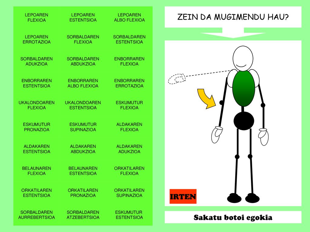 ZEIN DA MUGIMENDU HAU IRTEN Sakatu botoi egokia LEPOAREN FLEXIOA