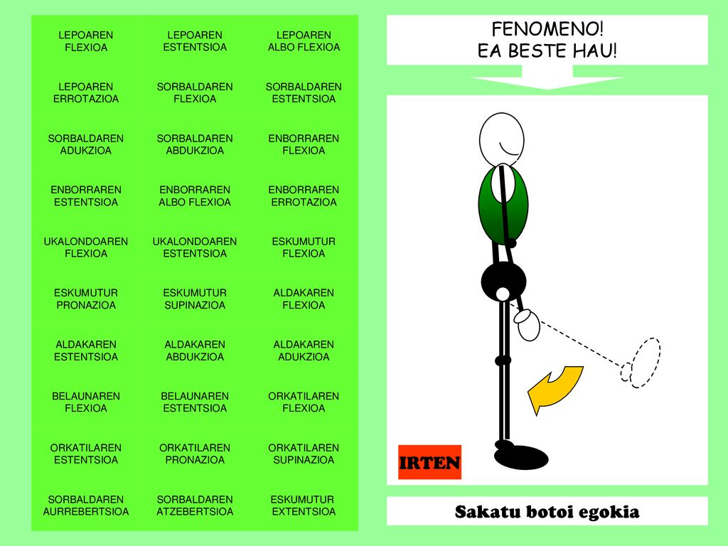 FENOMENO! EA BESTE HAU! IRTEN Sakatu botoi egokia LEPOAREN FLEXIOA