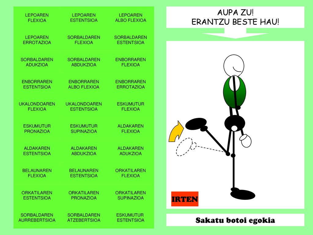 AUPA ZU! ERANTZU BESTE HAU! IRTEN Sakatu botoi egokia LEPOAREN FLEXIOA