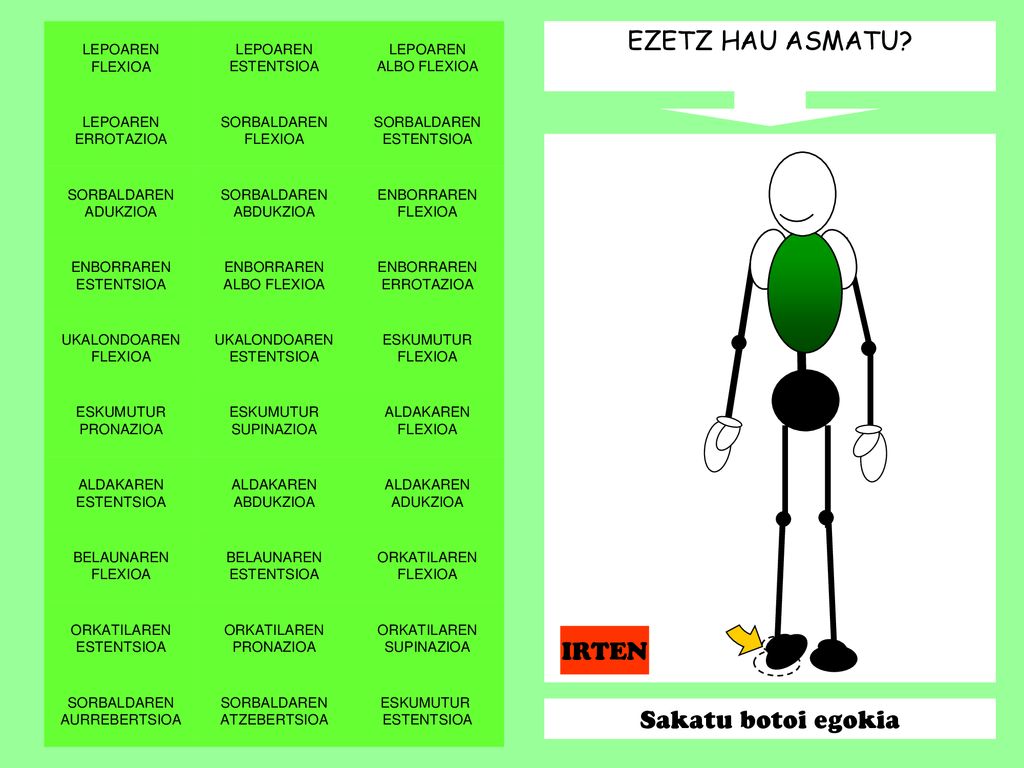 EZETZ HAU ASMATU IRTEN Sakatu botoi egokia LEPOAREN FLEXIOA LEPOAREN