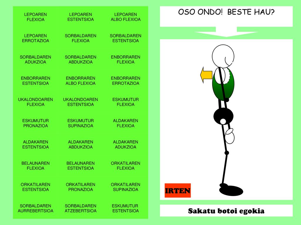 OSO ONDO! BESTE HAU IRTEN Sakatu botoi egokia LEPOAREN FLEXIOA