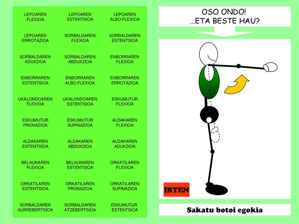 OSO ONDO! …ETA BESTE HAU IRTEN Sakatu botoi egokia LEPOAREN FLEXIOA