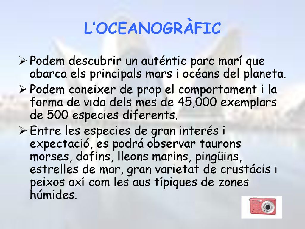 L’OCEANOGRÀFIC Podem descubrir un auténtic parc marí que abarca els principals mars i océans del planeta.