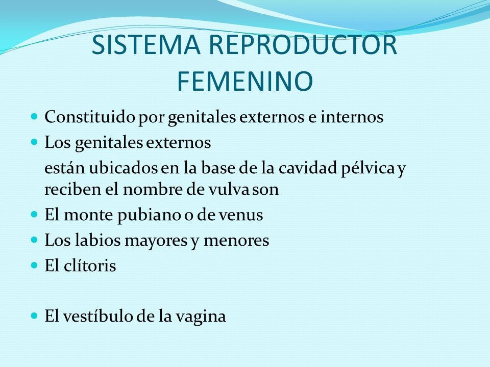 SISTEMA REPRODUCTOR FEMENINO