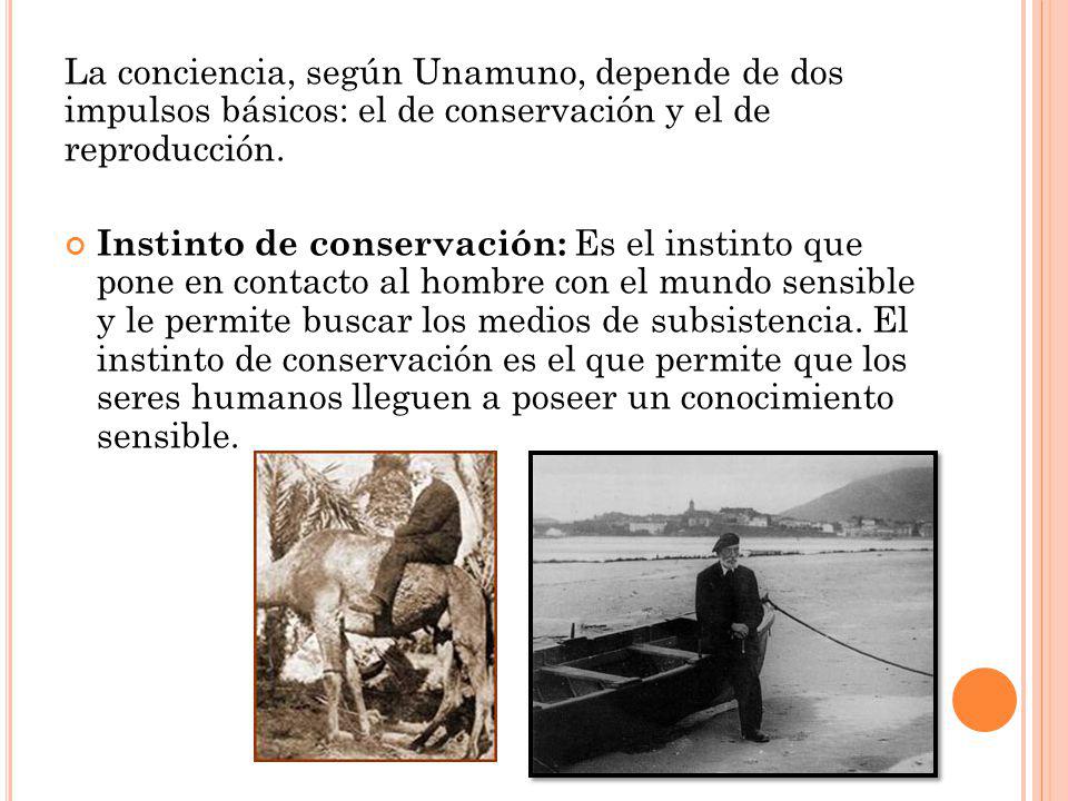 La conciencia, según Unamuno, depende de dos impulsos básicos: el de conservación y el de reproducción.