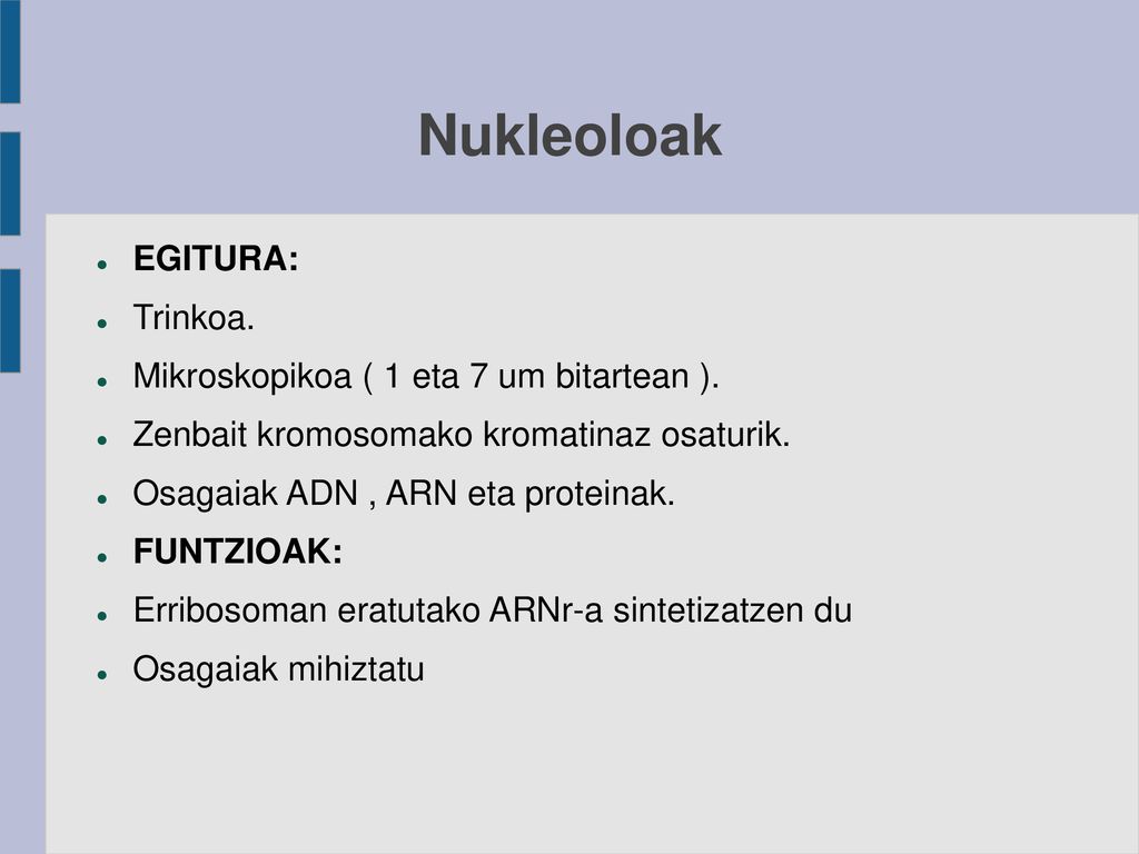 Nukleoloak EGITURA: Trinkoa. Mikroskopikoa ( 1 eta 7 um bitartean ).