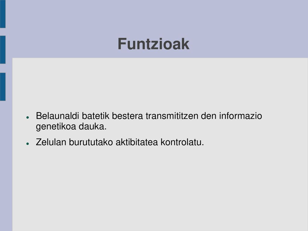 Funtzioak Belaunaldi batetik bestera transmititzen den informazio genetikoa dauka.