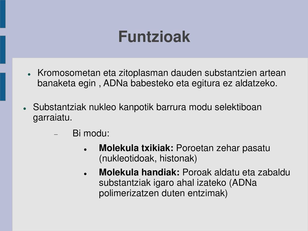 Funtzioak Kromosometan eta zitoplasman dauden substantzien artean banaketa egin , ADNa babesteko eta egitura ez aldatzeko.