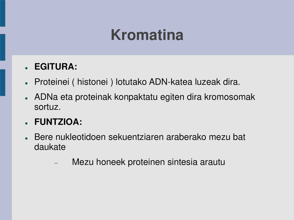 Kromatina EGITURA: Proteinei ( histonei ) lotutako ADN-katea luzeak dira. ADNa eta proteinak konpaktatu egiten dira kromosomak sortuz.