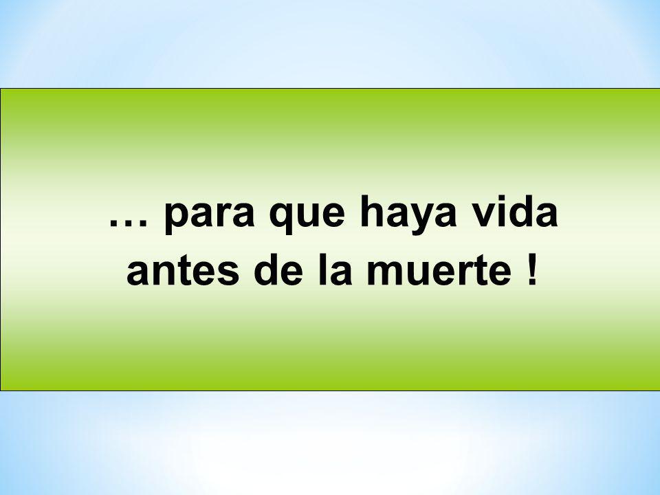 … para que haya vida antes de la muerte !