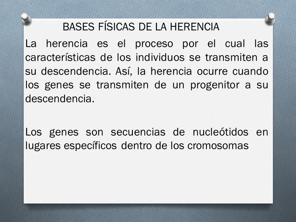 BASES FÍSICAS DE LA HERENCIA La herencia es el proceso por el cual las características de los individuos se transmiten a su descendencia.