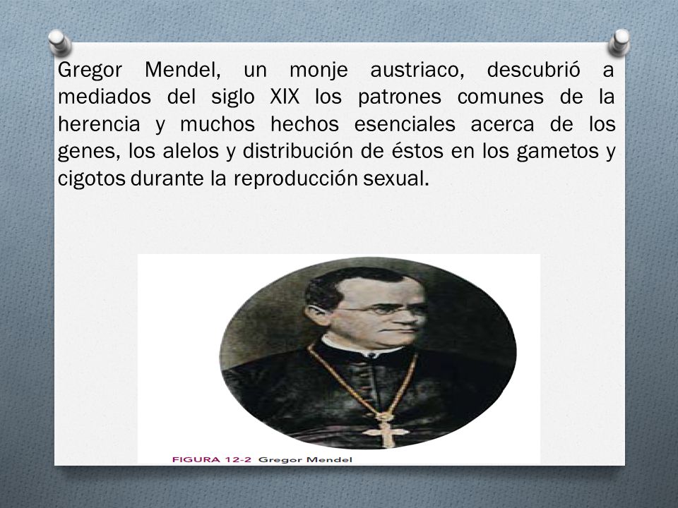 Gregor Mendel, un monje austriaco, descubrió a mediados del siglo XIX los patrones comunes de la herencia y muchos hechos esenciales acerca de los genes, los alelos y distribución de éstos en los gametos y cigotos durante la reproducción sexual.