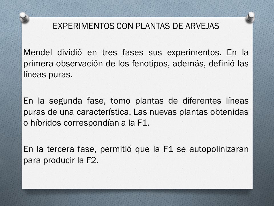 EXPERIMENTOS CON PLANTAS DE ARVEJAS