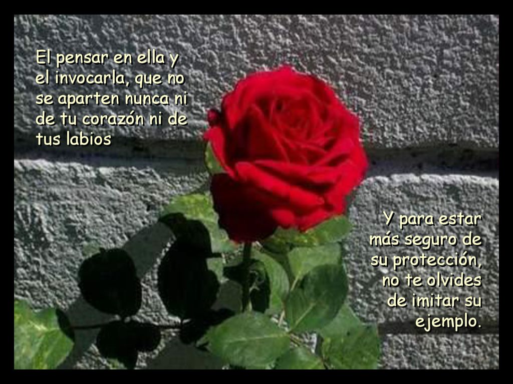 El pensar en ella y el invocarla, que no se aparten nunca ni de tu corazón ni de tus labios