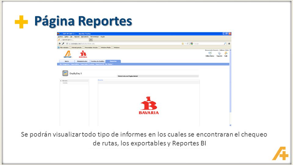 Página Reportes Se podrán visualizar todo tipo de informes en los cuales se encontraran el chequeo de rutas, los exportables y Reportes BI.