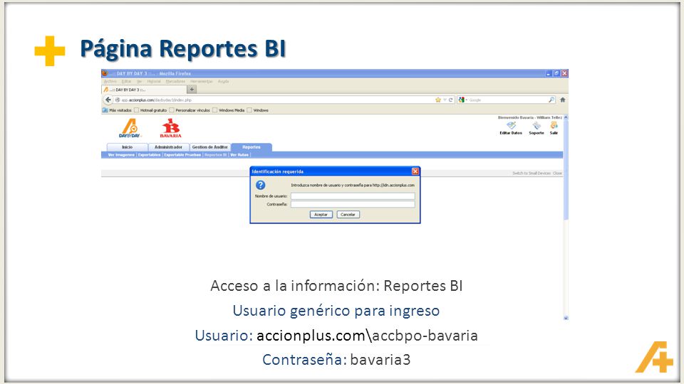 Página Reportes BI Acceso a la información: Reportes BI