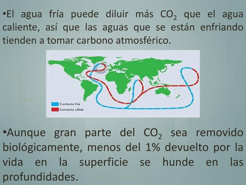 El agua fría puede diluir más CO2 que el agua caliente, así que las aguas que se están enfriando tienden a tomar carbono atmosférico.