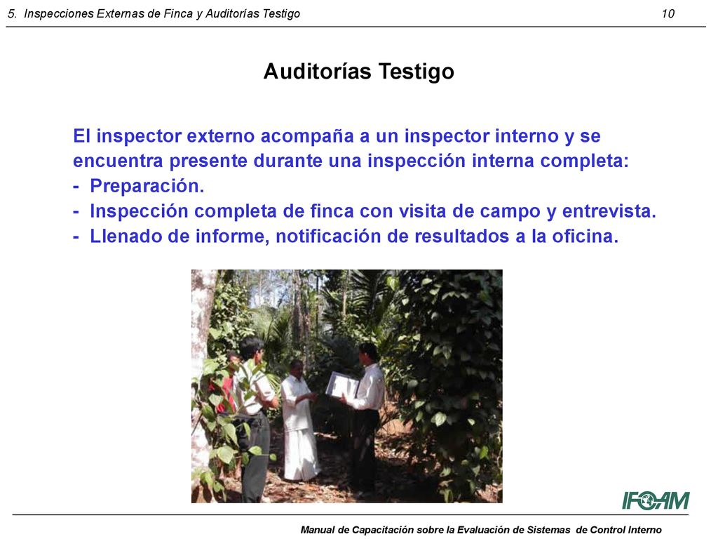 Auditorías Testigo El inspector externo acompaña a un inspector interno y se encuentra presente durante una inspección interna completa: