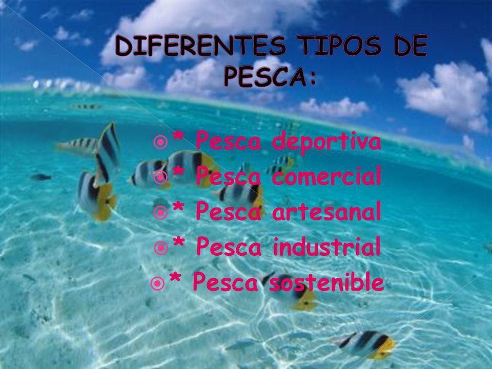 DIFERENTES TIPOS DE PESCA: