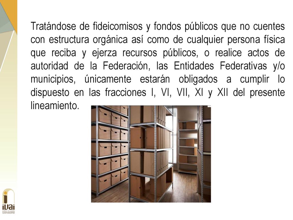 Tratándose de fideicomisos y fondos públicos que no cuentes con estructura orgánica así como de cualquier persona física que reciba y ejerza recursos públicos, o realice actos de autoridad de la Federación, las Entidades Federativas y/o municipios, únicamente estarán obligados a cumplir lo dispuesto en las fracciones I, VI, VII, XI y XII del presente lineamiento.