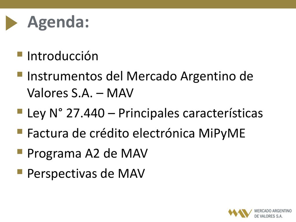 Agenda: Introducción. Instrumentos del Mercado Argentino de Valores S.A. – MAV. Ley N° – Principales características.