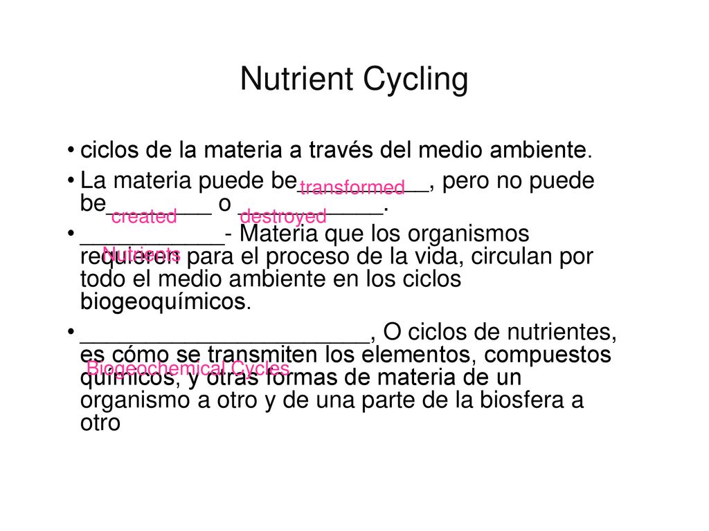 Nutrient Cycling ciclos de la materia a través del medio ambiente.