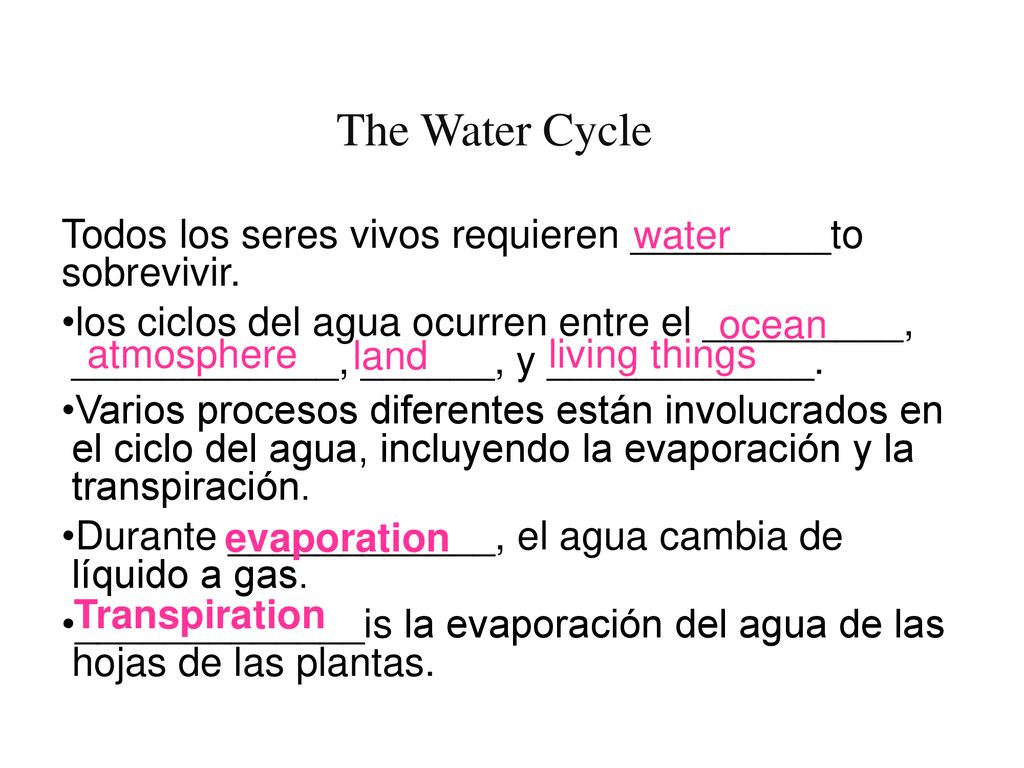 The Water Cycle water. Todos los seres vivos requieren _________to sobrevivir.