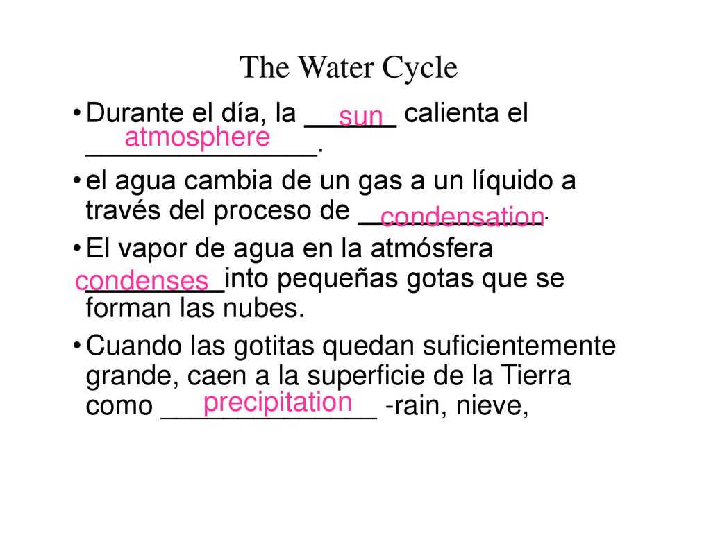 The Water Cycle Durante el día, la ______ calienta el _______________.