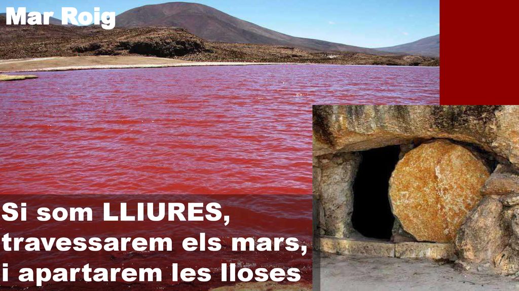 Si som LLIURES, travessarem els mars, i apartarem les lloses