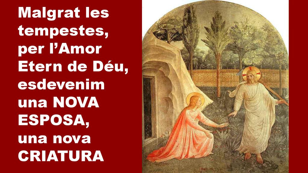 Malgrat les tempestes, per l’Amor Etern de Déu, esdevenim una NOVA ESPOSA, una nova CRIATURA