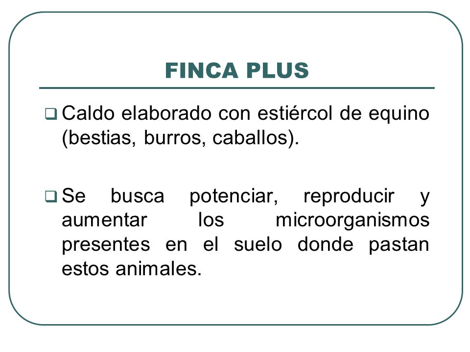 FINCA PLUS Caldo elaborado con estiércol de equino (bestias, burros, caballos).