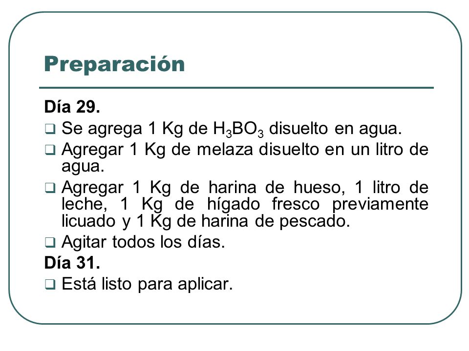 Preparación Día 29. Se agrega 1 Kg de H3BO3 disuelto en agua.