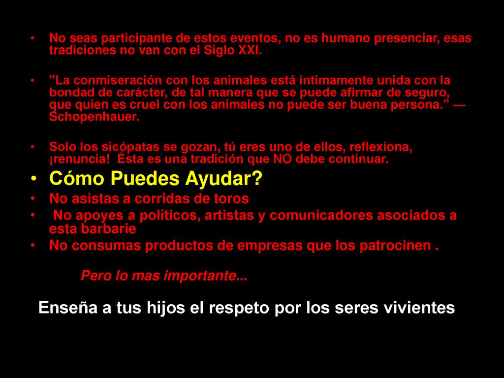 Cómo Puedes Ayudar No asistas a corridas de toros