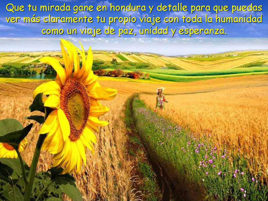 Que tu mirada gane en hondura y detalle para que puedas ver más claramente tu propio viaje con toda la humanidad como un viaje de paz, unidad y esperanza.