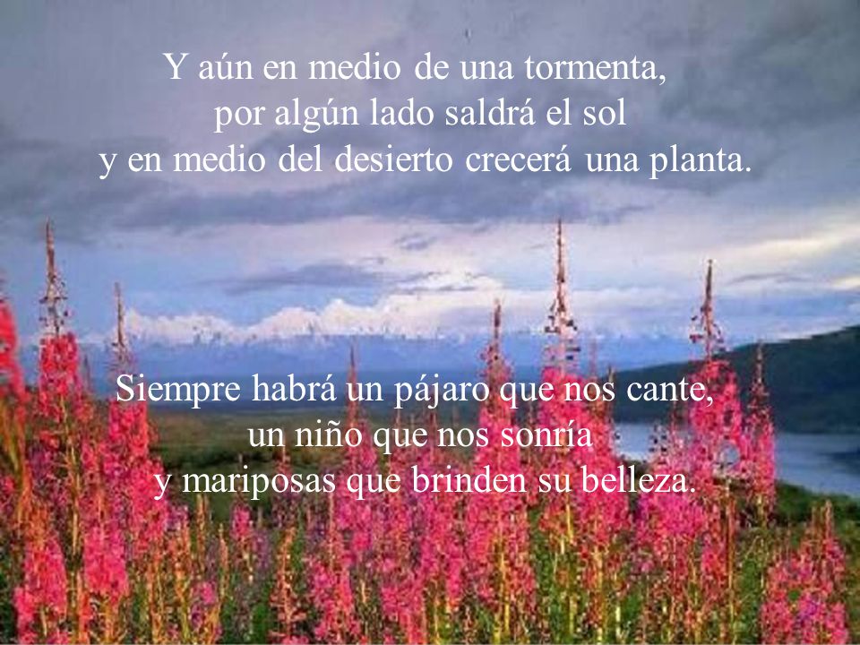 Y aún en medio de una tormenta, por algún lado saldrá el sol