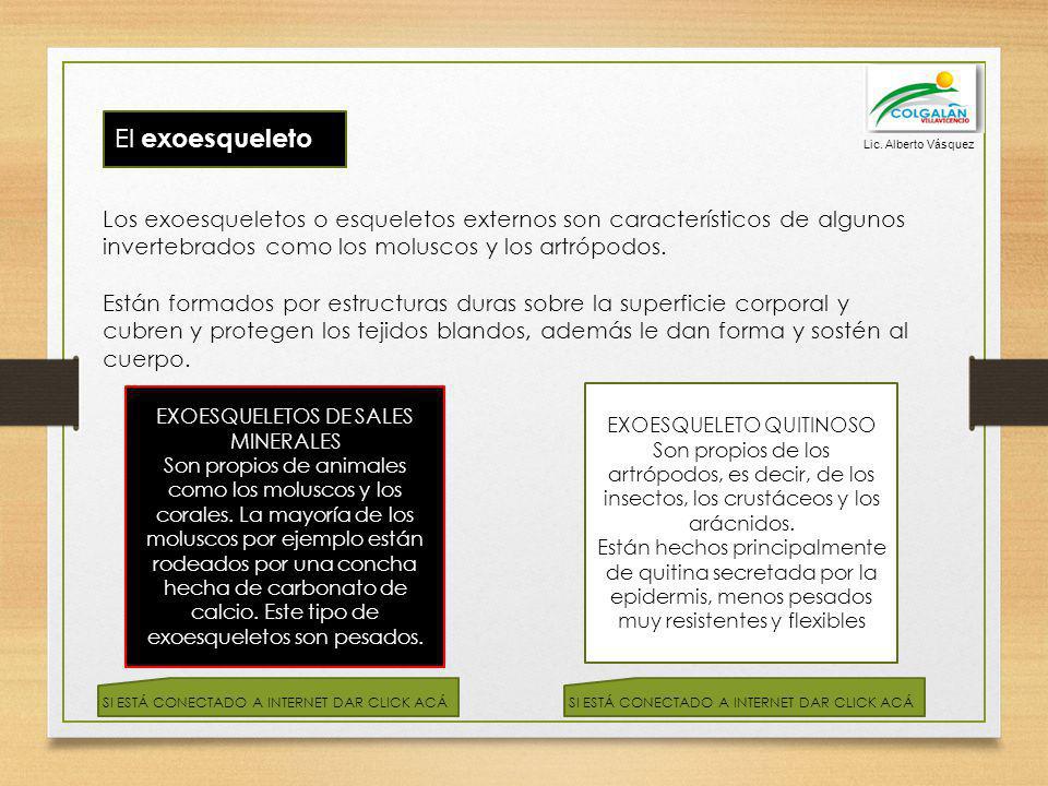 Lic. Alberto Vásquez El exoesqueleto.