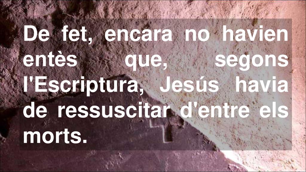 De fet, encara no havien entès que, segons l Escriptura, Jesús havia de ressuscitar d entre els morts.