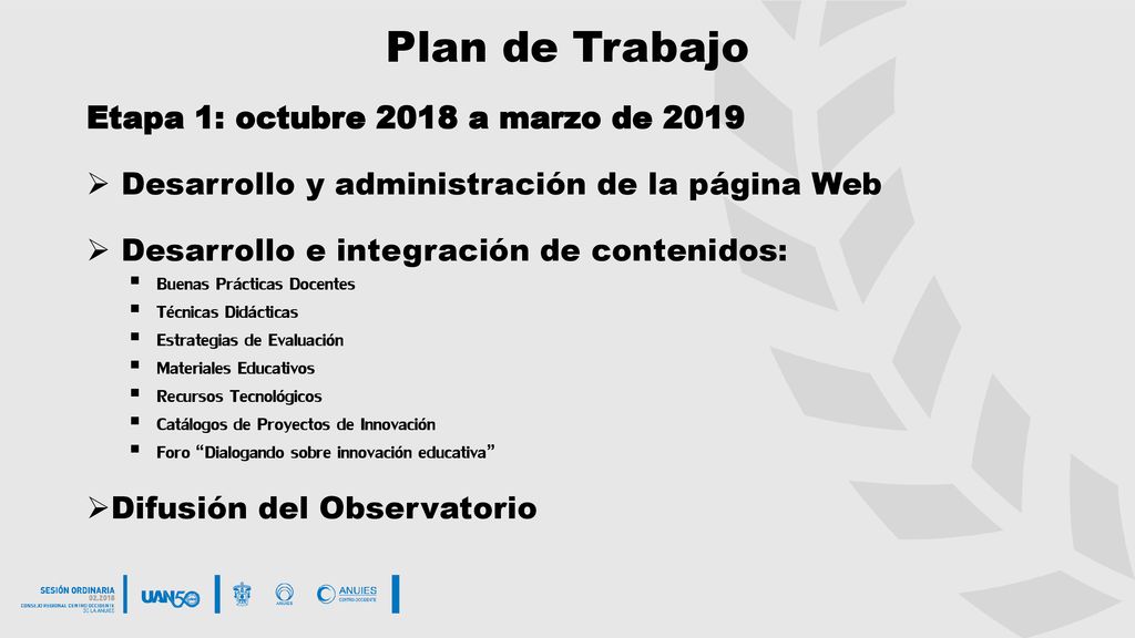 Plan de Trabajo Etapa 1: octubre 2018 a marzo de 2019