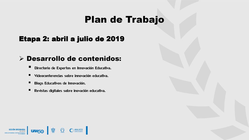 Plan de Trabajo Etapa 2: abril a julio de 2019