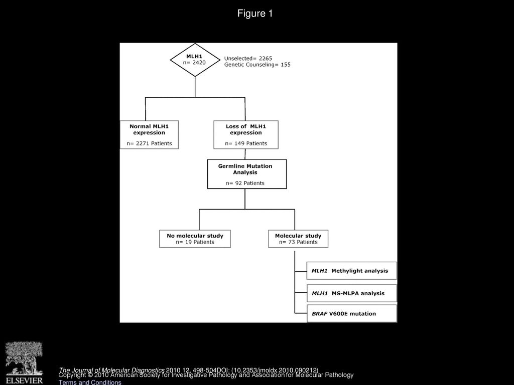 Figure 1 Flow diagram for the immunohistochemical and molecular analysis performed in patients and tumors.