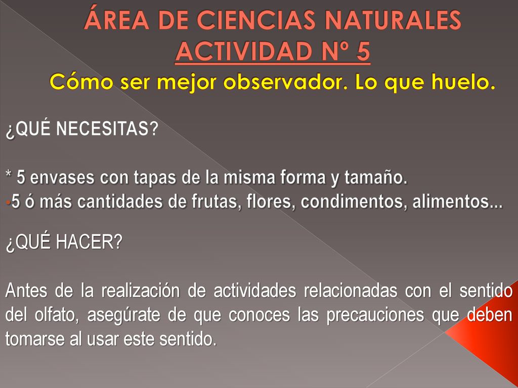 ÁREA DE CIENCIAS NATURALES ACTIVIDAD Nº 5 Cómo ser mejor observador