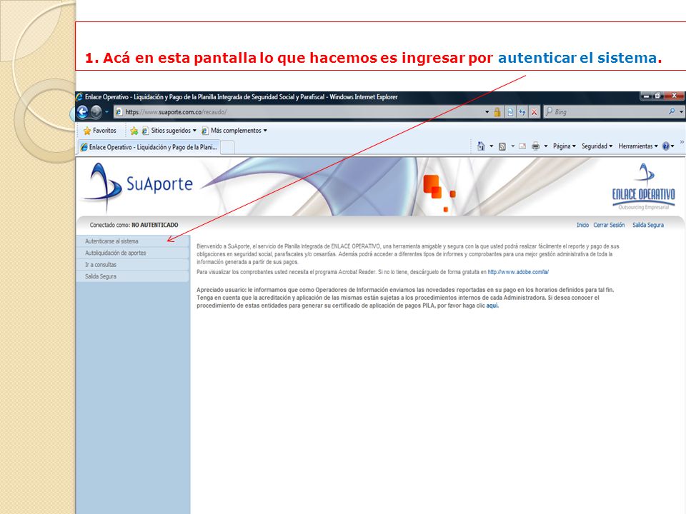 1. Acá en esta pantalla lo que hacemos es ingresar por autenticar el sistema.