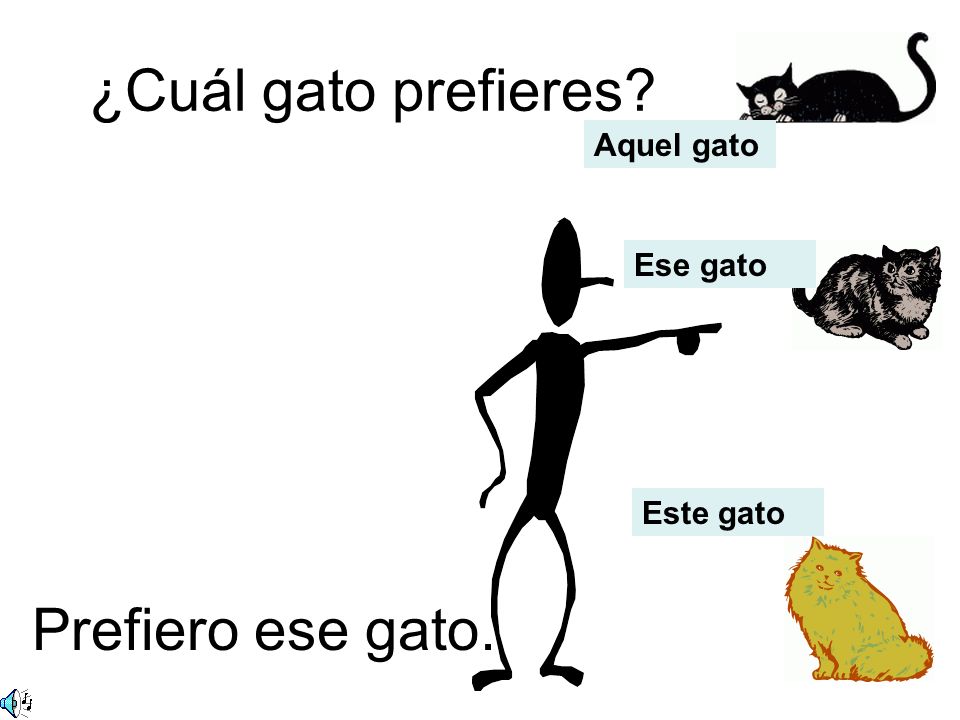 ¿Cuál gato prefieres Aquel gato Ese gato Este gato Prefiero ese gato.