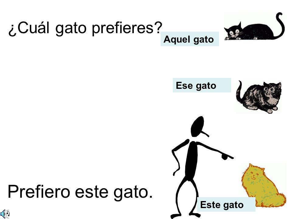 Prefiero este gato. ¿Cuál gato prefieres Aquel gato Ese gato