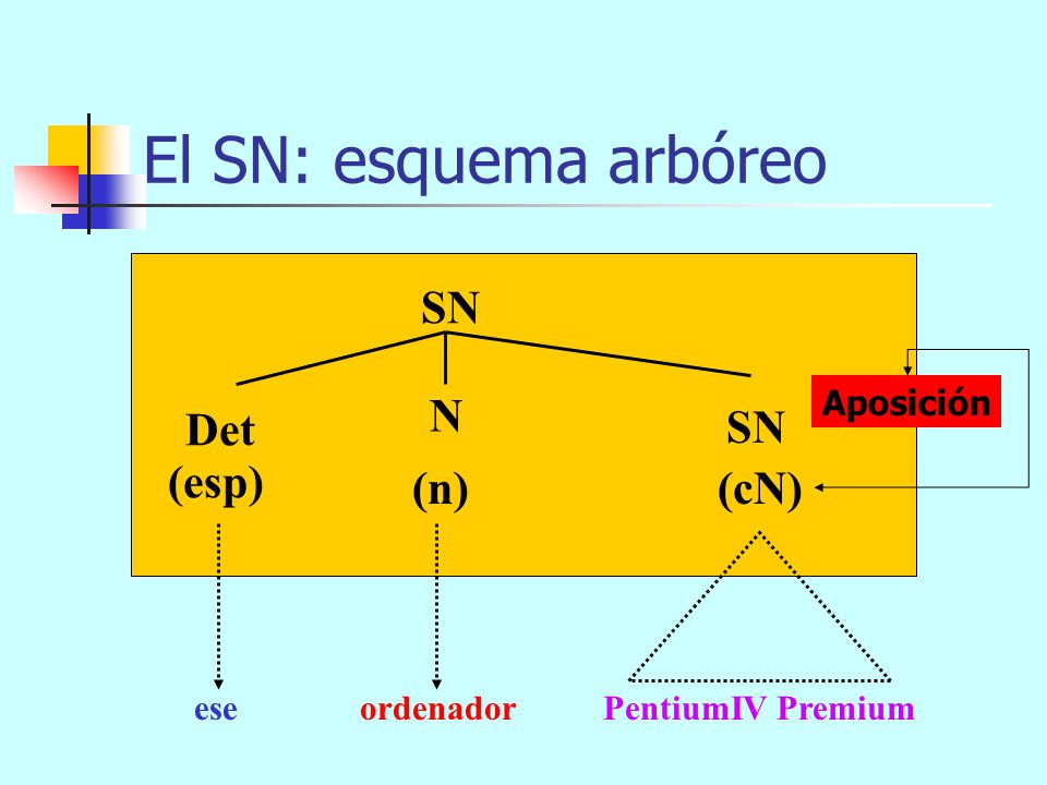 El SN: esquema arbóreo SN N Det SN (esp) (n) (cN) Aposición ese